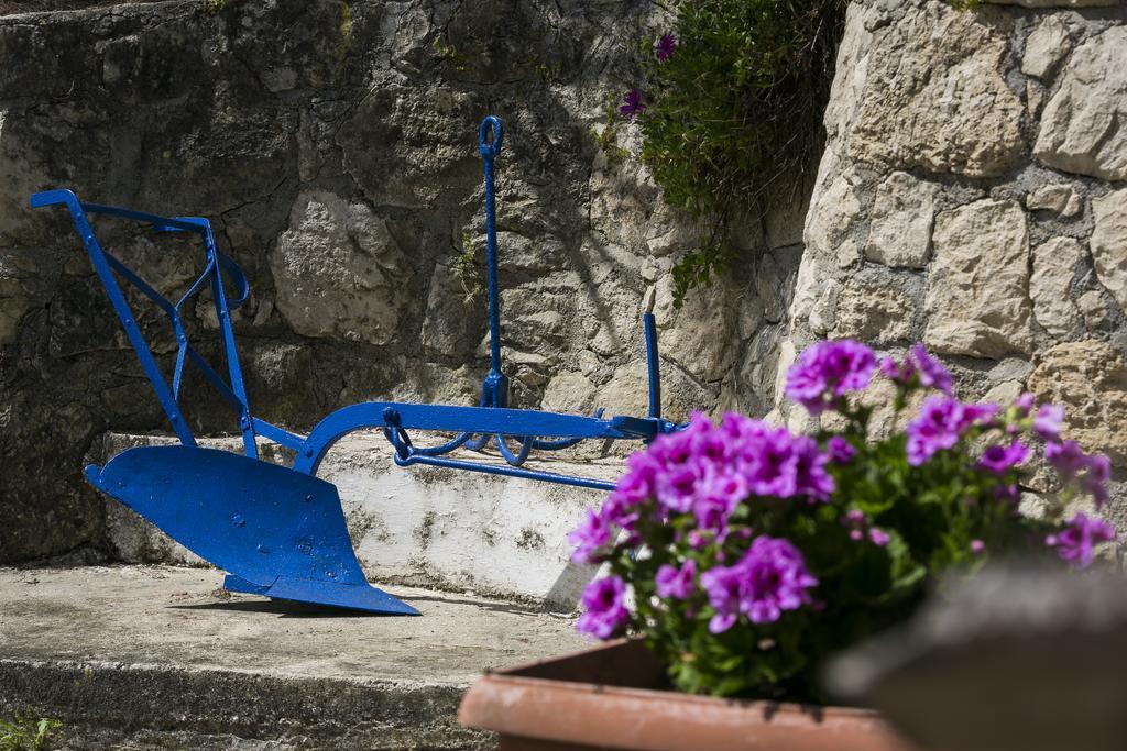Villa Afrodite Muszáta Kültér fotó